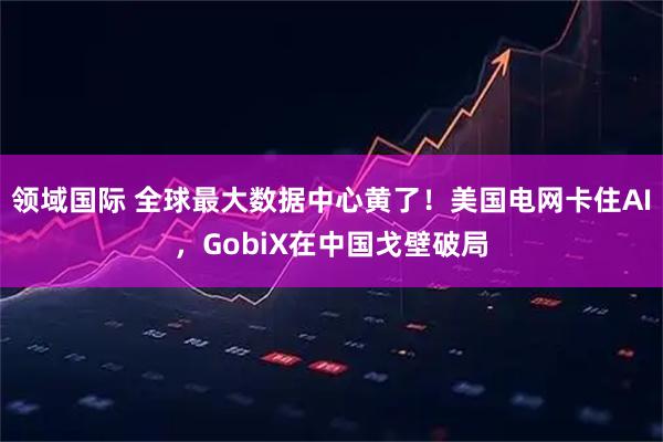领域国际 全球最大数据中心黄了!美国电网卡住AI,GobiX在中国戈壁破局