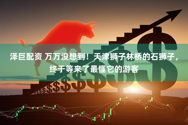 泽巨配资 万万没想到！天津狮子林桥的石狮子，终于等来了最懂它的游客